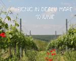 10 iunie | Vizite la crame si picnic in Dealu Mare